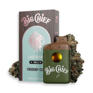 big chief 3g disposable​